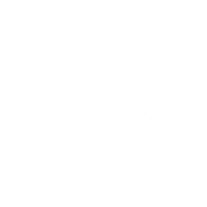 Nerd art specimen FUN-004 — light variant