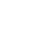 Nerd art specimen FUN-006 — light variant